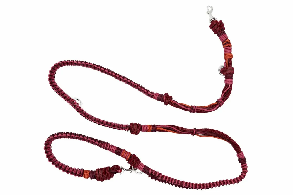 Pet accessories - Pet accessories - MY BOB, USE YOUR HEAD!