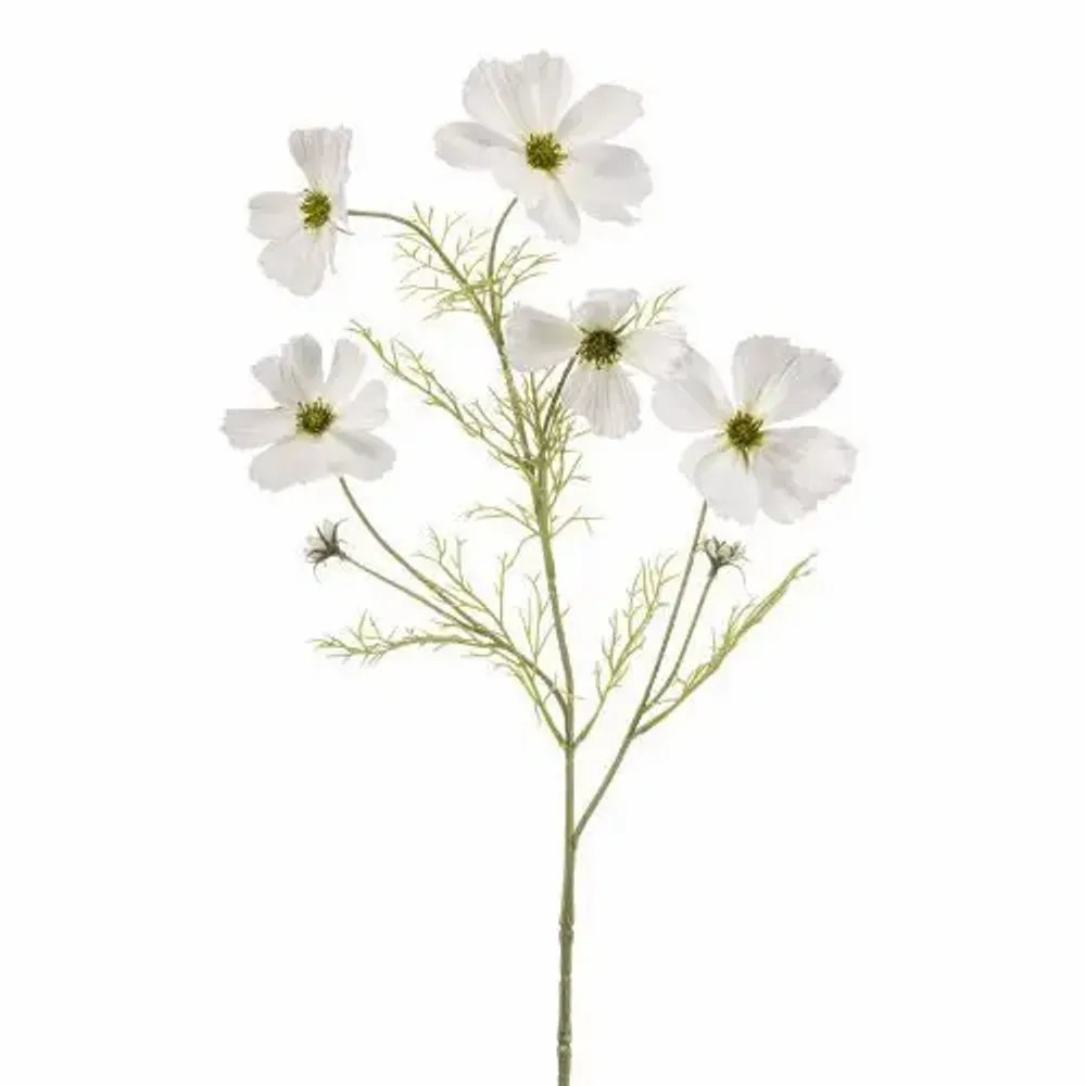 Décorations florales - Spray Cosmos - EMERALD ETERNAL GREEN BV