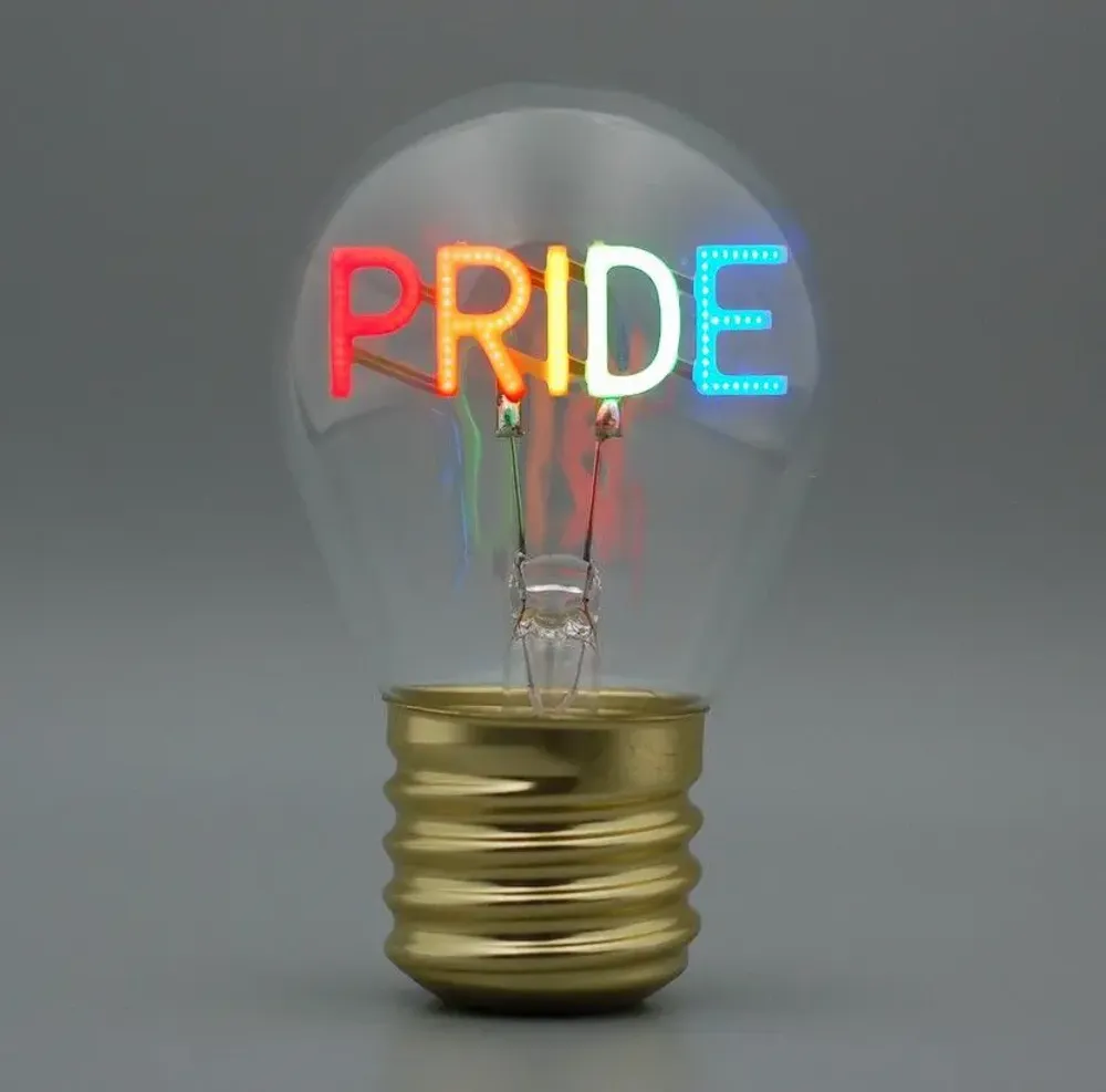 Objets de décoration - Ampoule LED sans fil modèles multiples. - LIGHT ME UP
