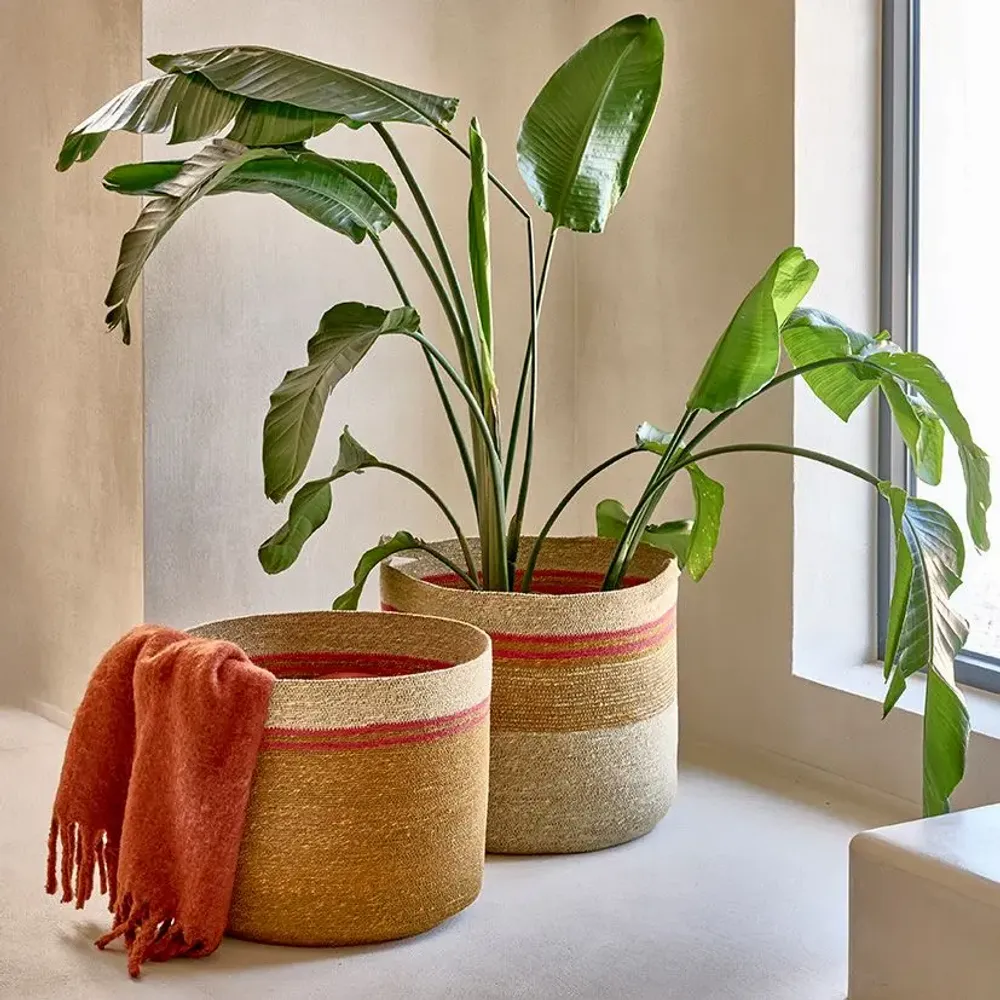 Decorative objects - Port Louis - POMAX