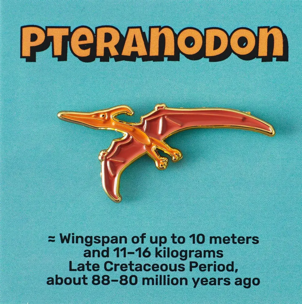 Brooches - Pin Pteranodon - PINPINPIN.IT