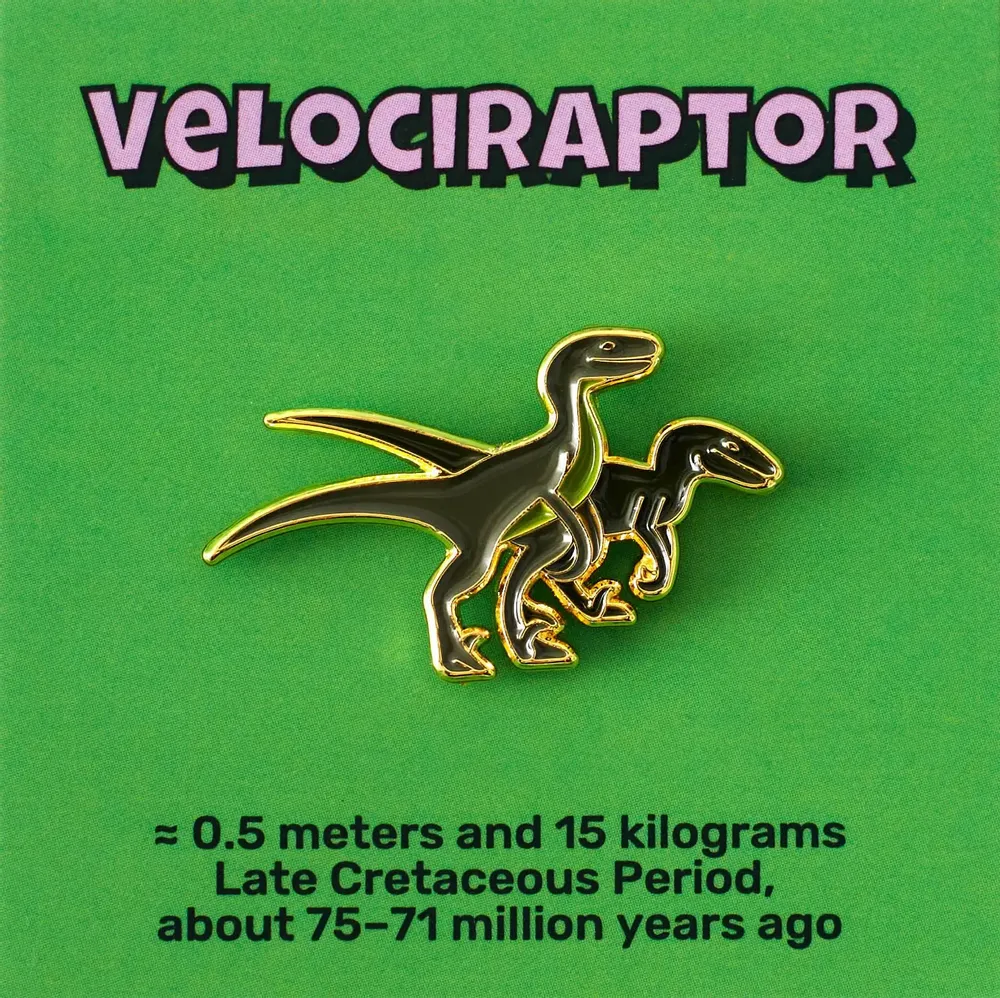 Brooches - Pin Velociraptor - PINPINPIN.IT