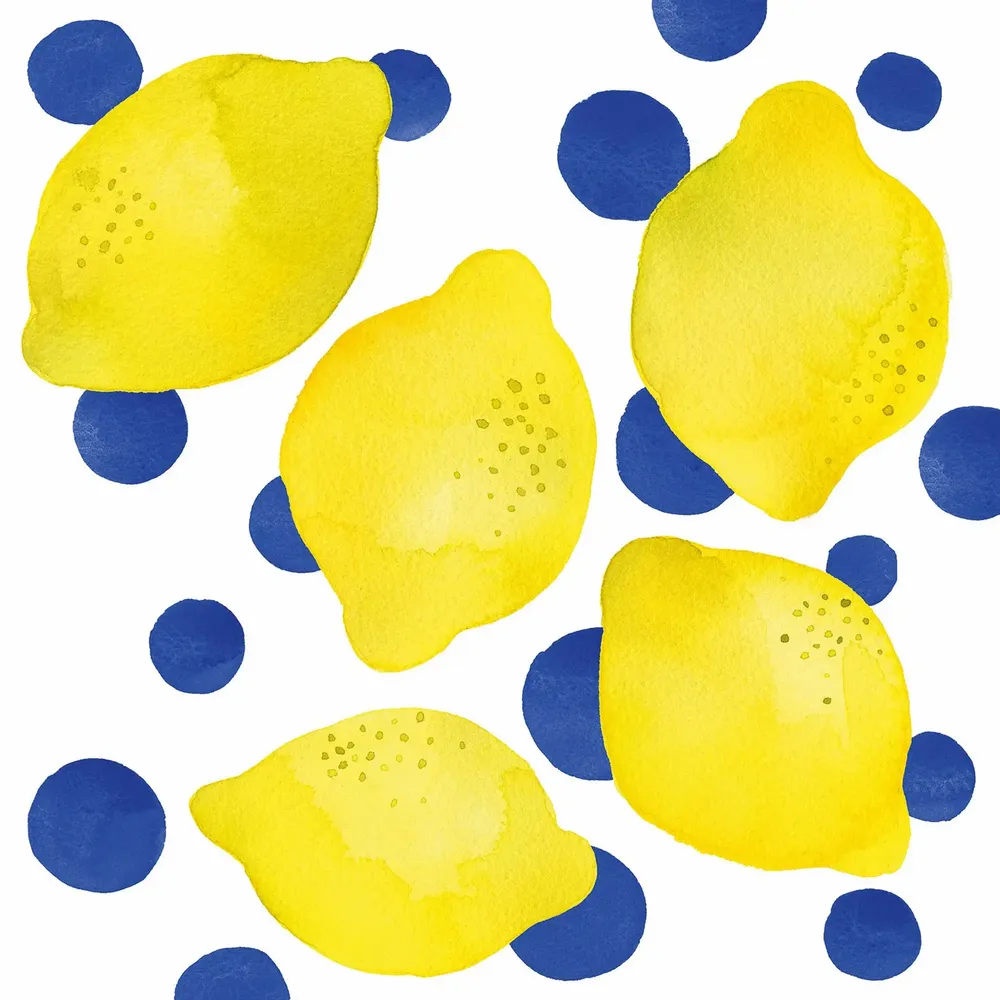 Decorative objects - Lemons, Melons and Ice - PPD PAPERPRODUCTS DESIGN GMBH