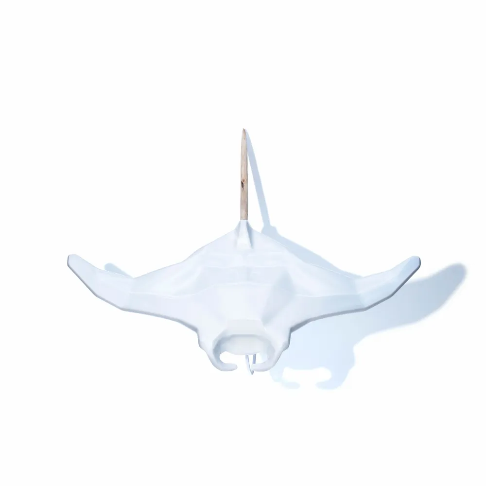 Céramique - Ocean Collection - Manta - OCEANSTORE DESIGN