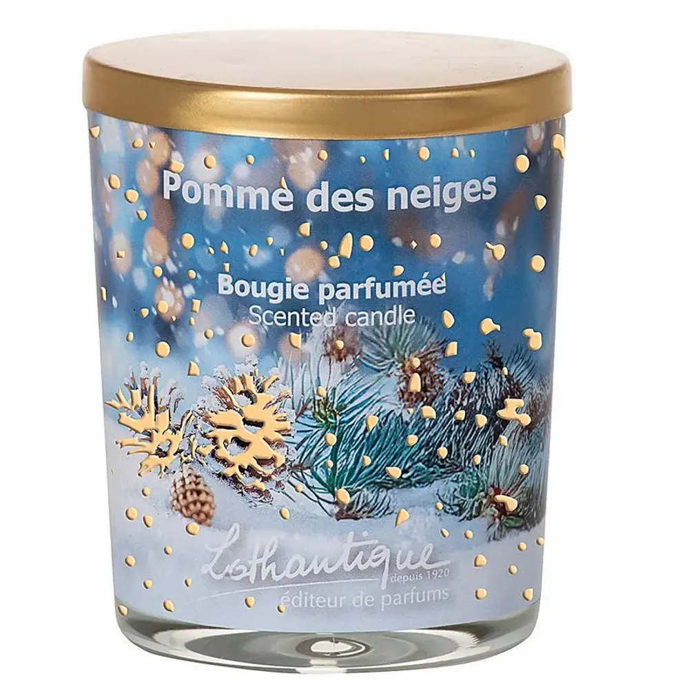 Scent diffusers - SNOWY PINECONE - LOTHANTIQUE