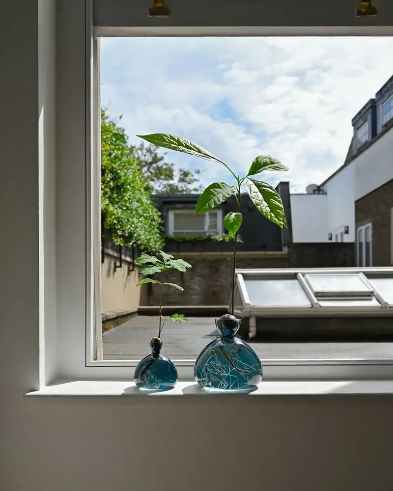 Vases - Avocado Vase and Acorn Vase NEW JAY BLUE color - ILEX STUDIO
