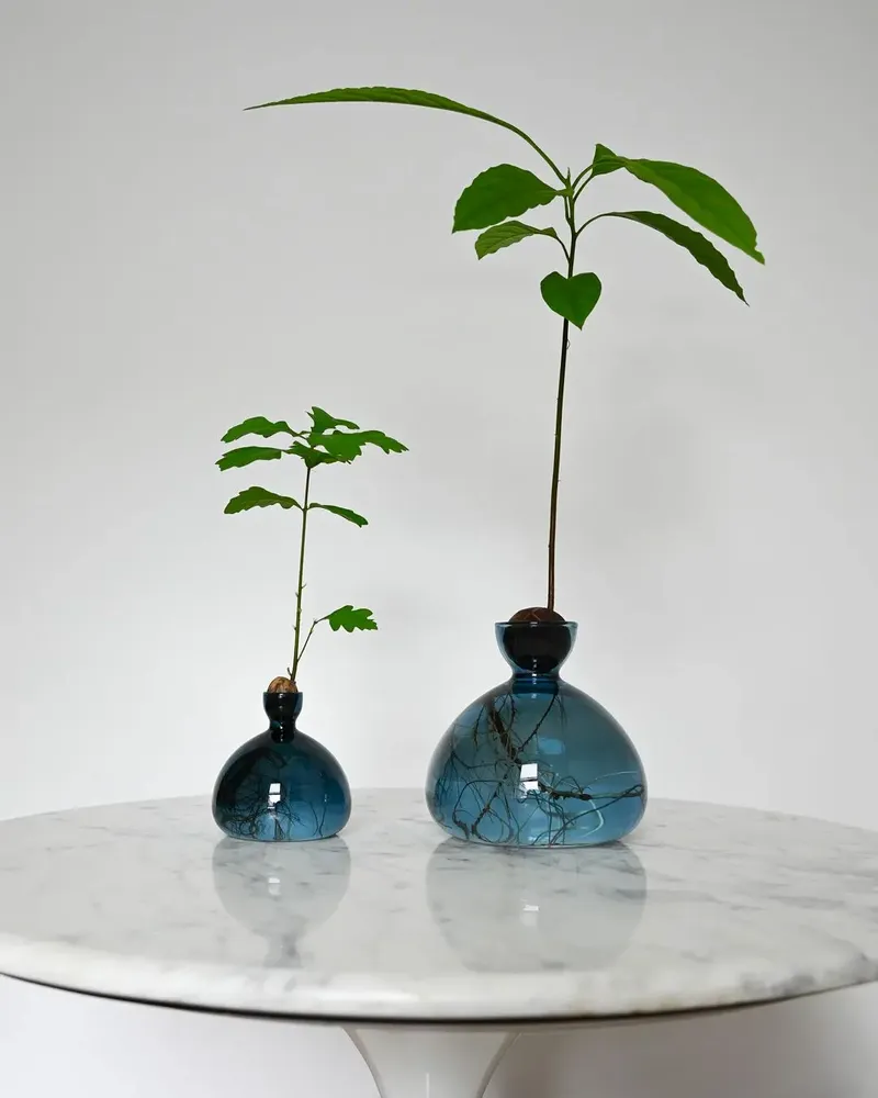 Vases - Avocado Vase and Acorn Vase NEW JAY BLUE color - ILEX STUDIO