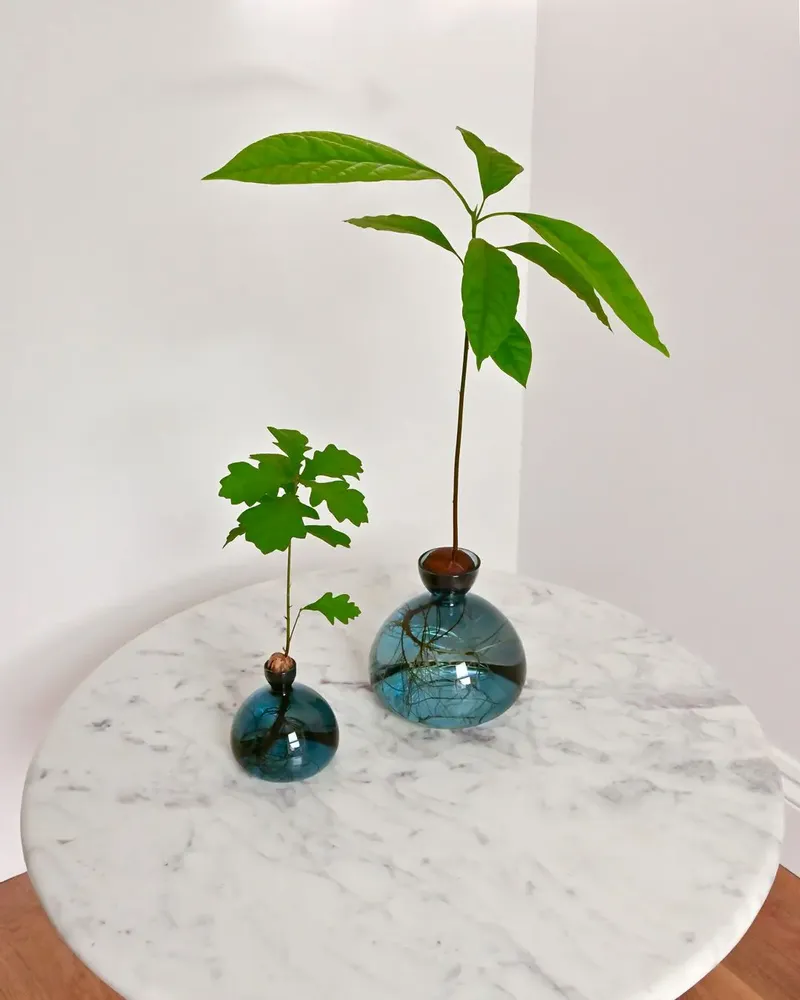 Vases - Avocado Vase and Acorn Vase NEW JAY BLUE color - ILEX STUDIO