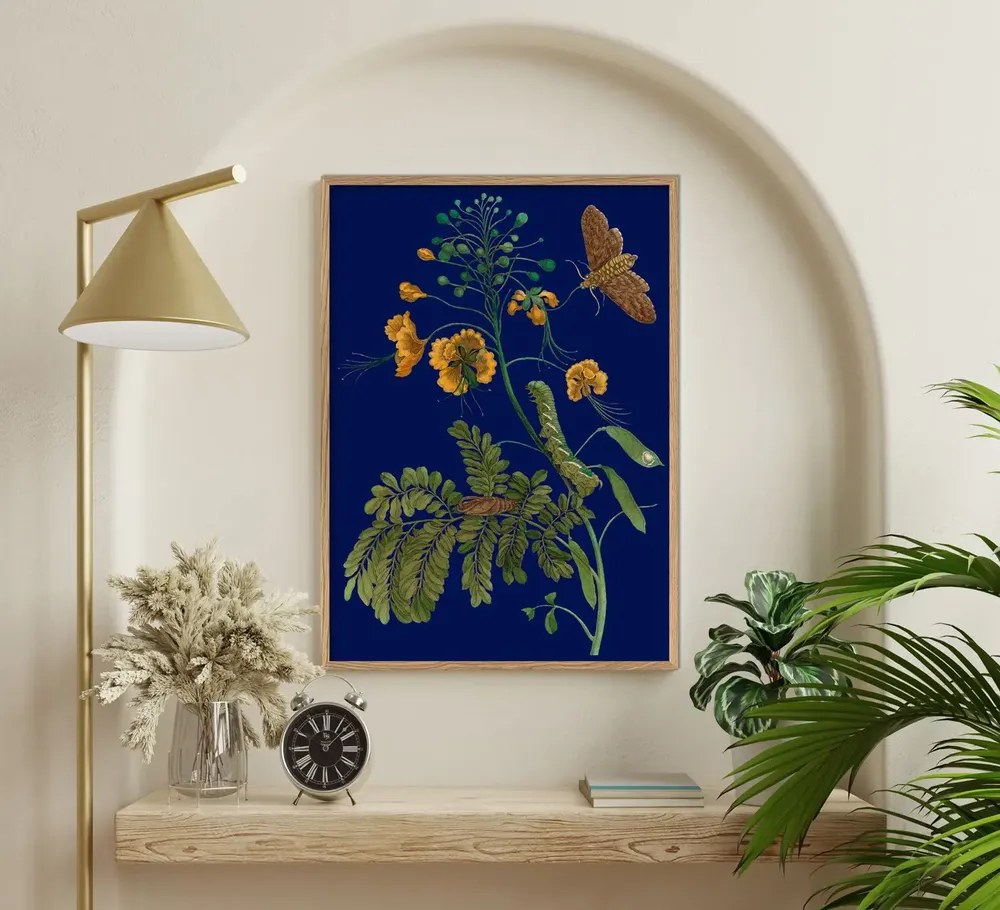 Poster - New Collection - THE DYBDAHL CO.