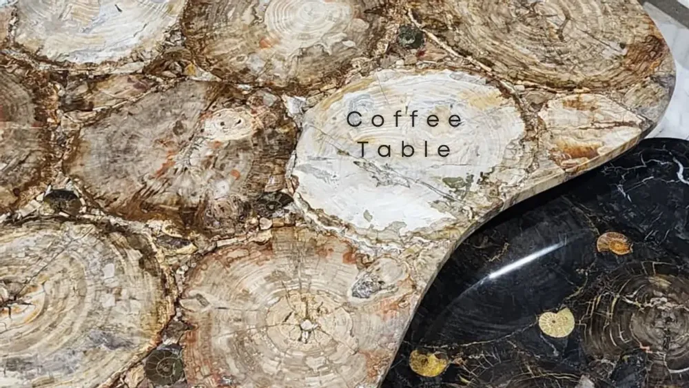 Tables basses - Table basse pétrifiée - PRESTONEX DESIGN PVT LTD