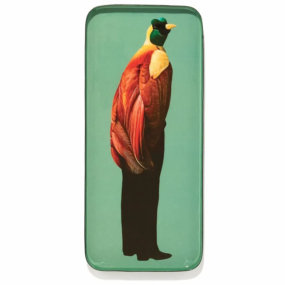 Decorative objects - Curiosito Collection - GANGZAÏ