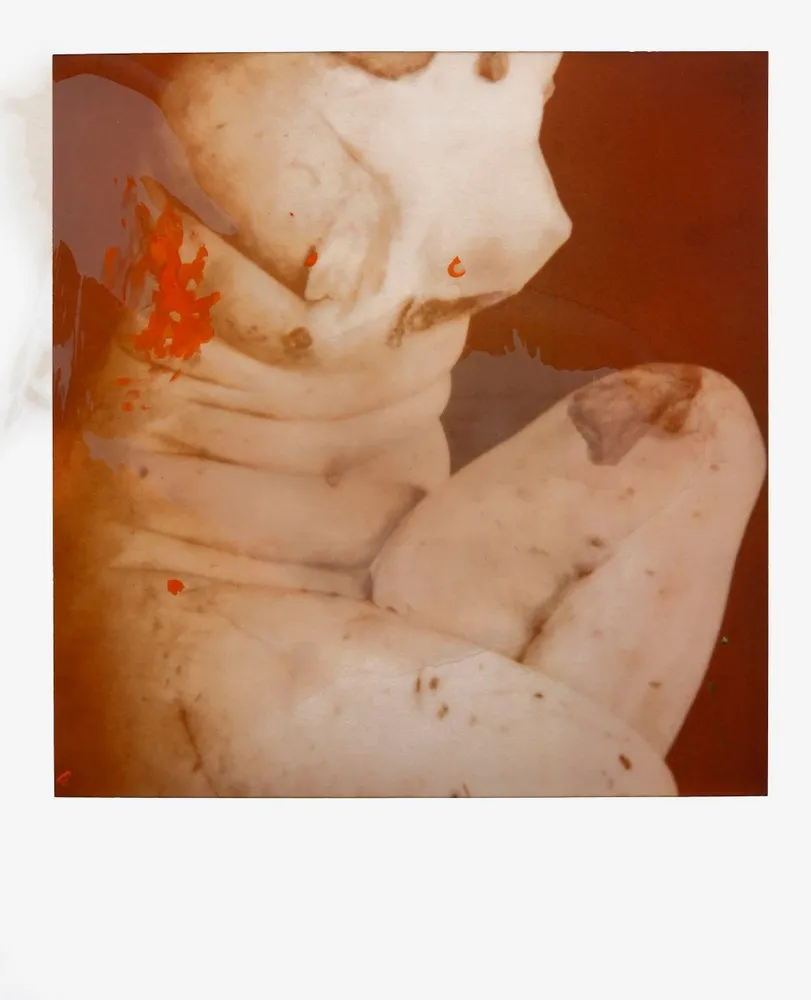 Objets de décoration - François Halard : Art et fleurs - NEW MAGS