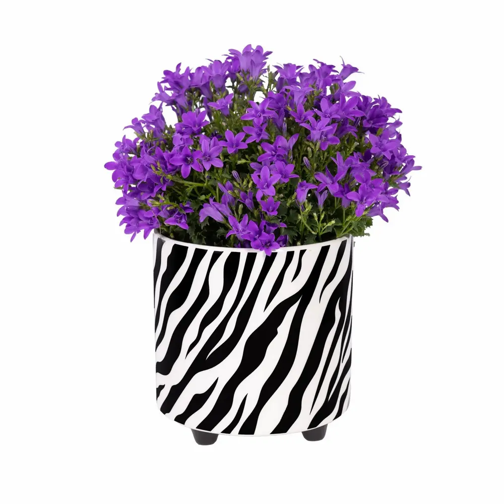 Vases - PLANT POT - FISURA