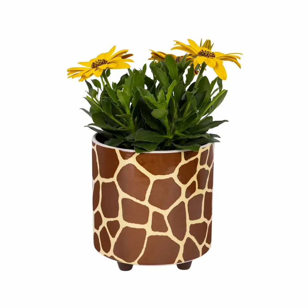 Vases - PLANT POT - FISURA