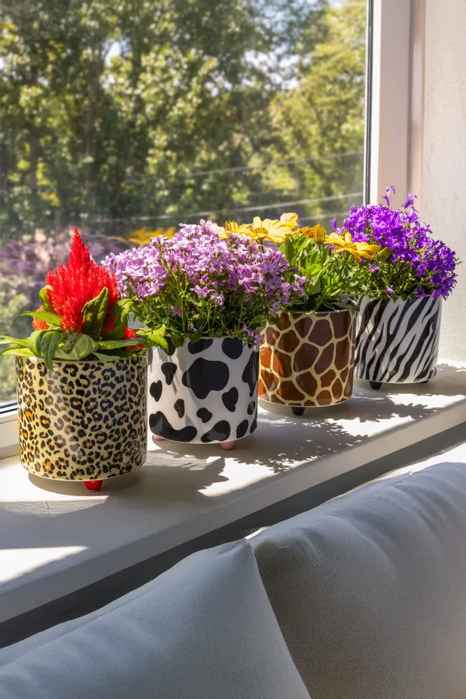 Vases - PLANT POT - FISURA