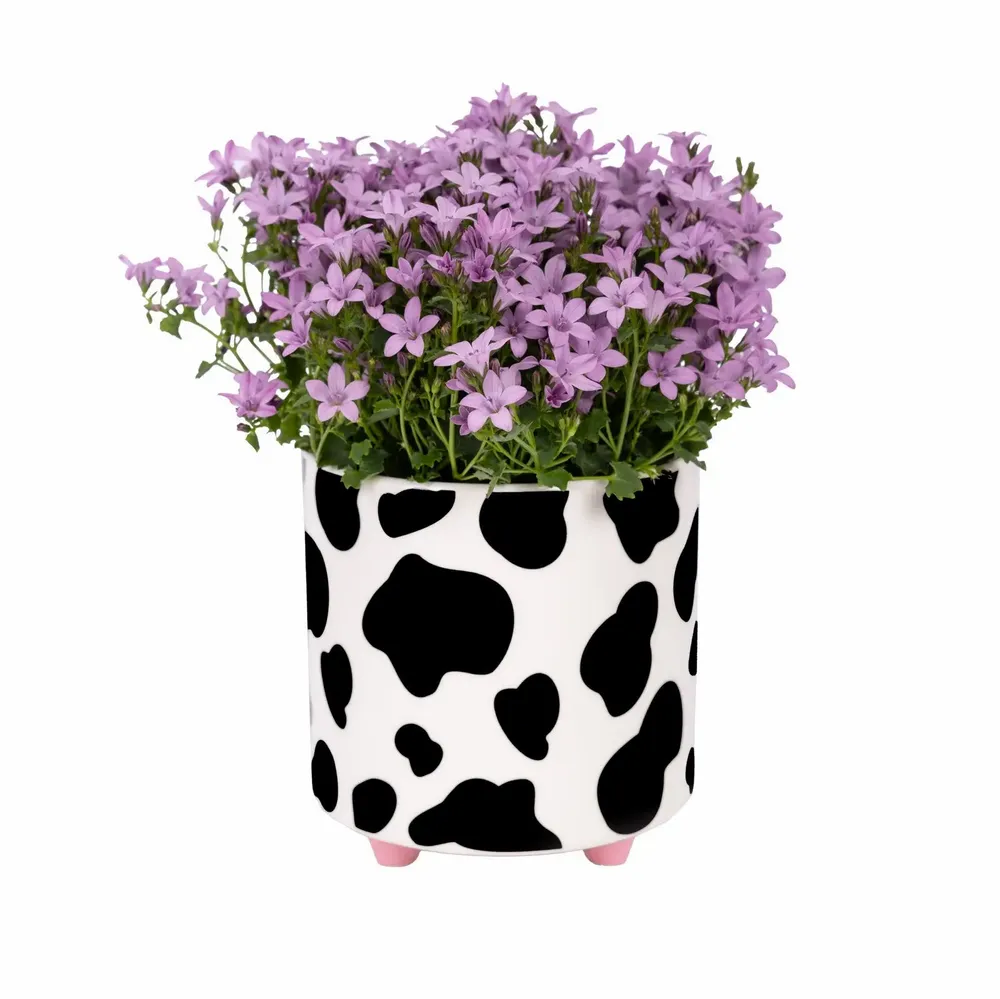 Vases - PLANT POT - FISURA