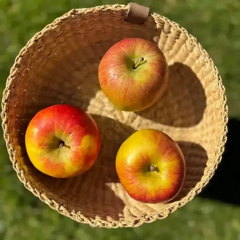 Corbeilles - Venyo Small - Panier de table tissé | Panier de rangement | Nature - SOLOKO