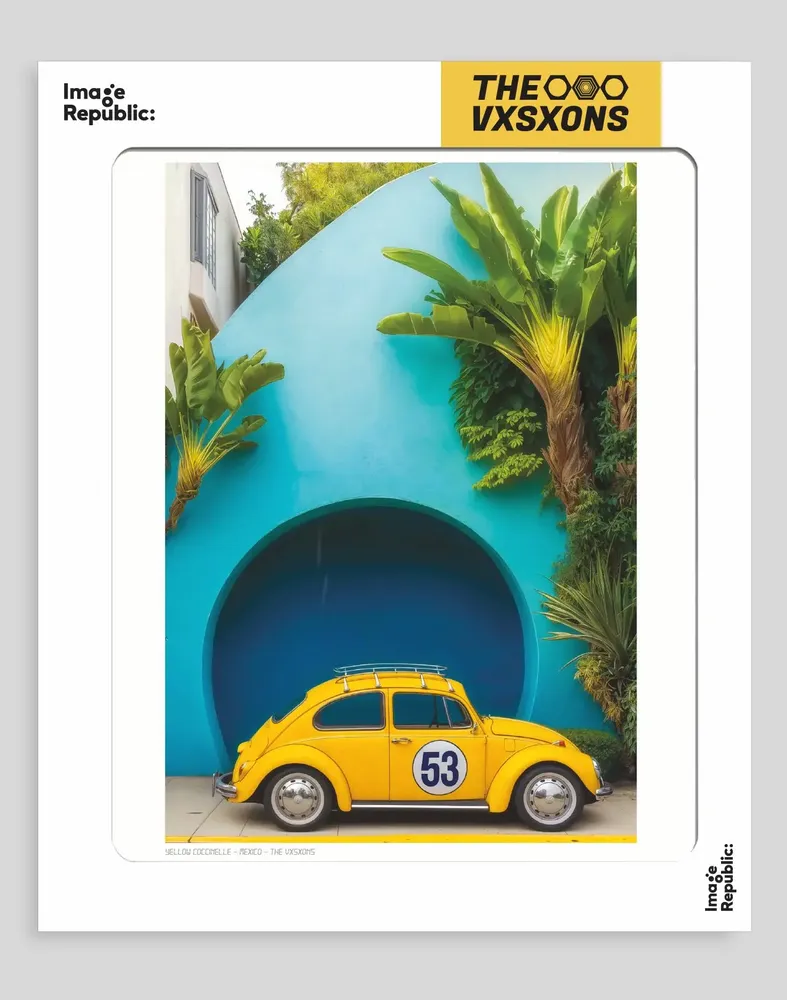 Poster - The Visions - Affiches - IMAGE REPUBLIC