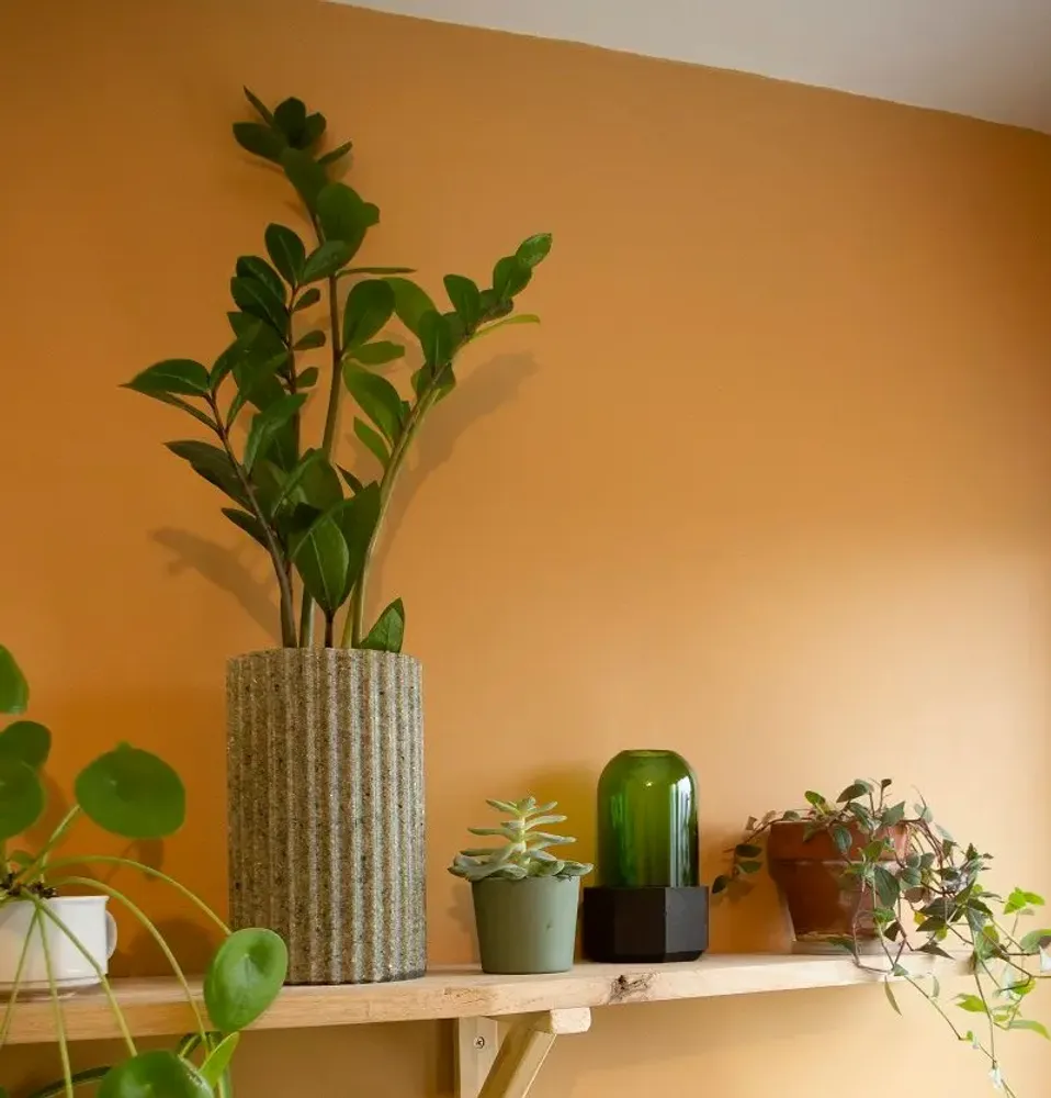 Vases - Vase VASEAS et VASEO - BOUTURES D'OBJETS