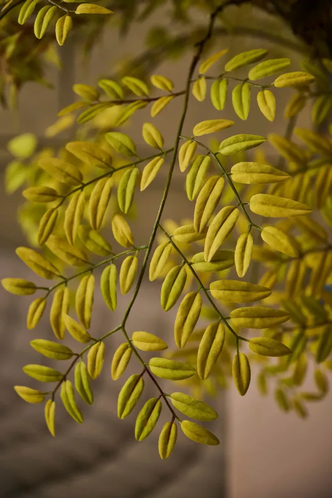 Floral decoration - Lifelike artificial autumn leaves - SILK-KA