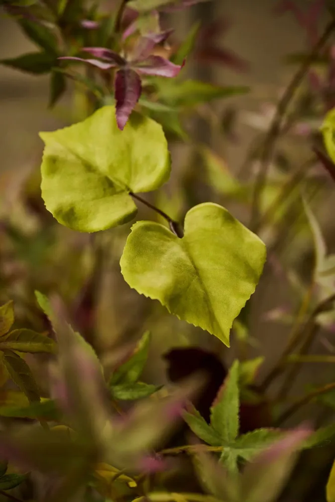 Floral decoration - Lifelike artificial autumn leaves - SILK-KA