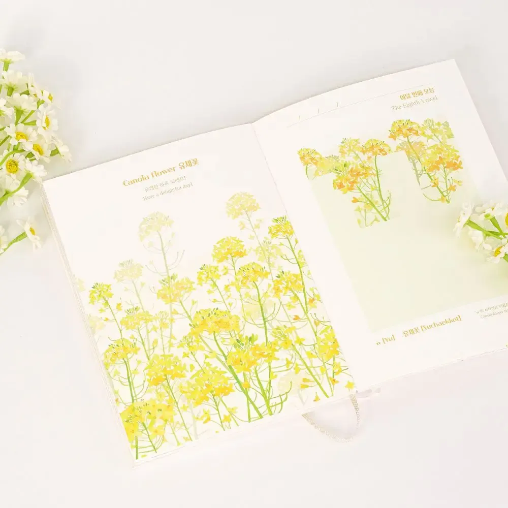 Papeterie - [LANFORAL] Lettre et journal en hangeul pour tous - KCDF