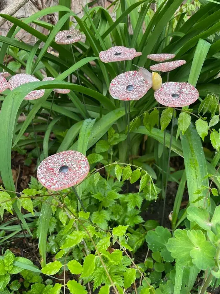 Floral decoration - Small galass flower in transparent, red and white colors - CARNEOL GLASS