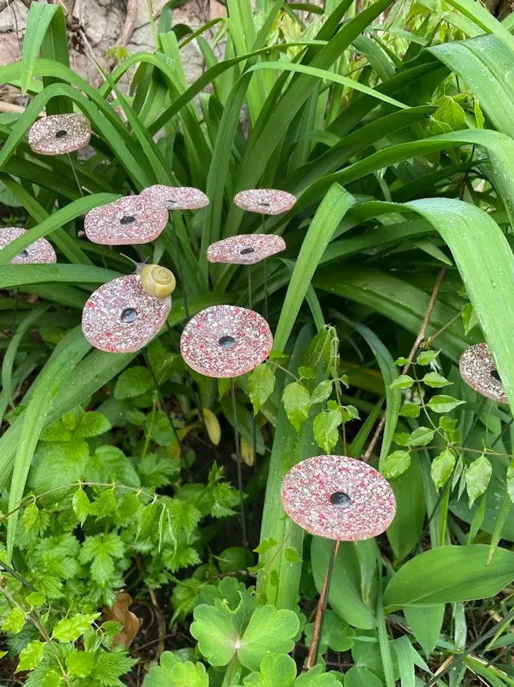 Floral decoration - Small galass flower in transparent, red and white colors - CARNEOL GLASS