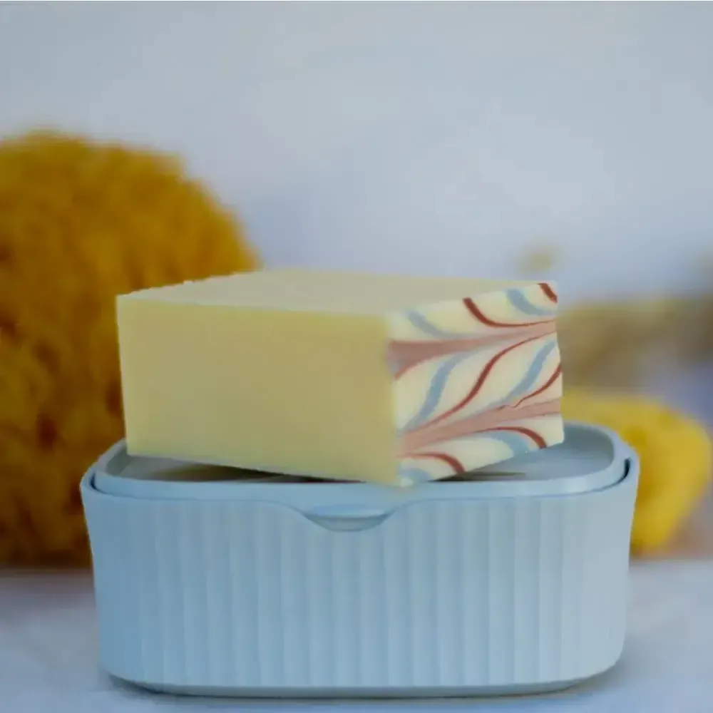 Cosmétiques - Boîte à savon recyclée 2 en 1 - NOUS LE SAVONS