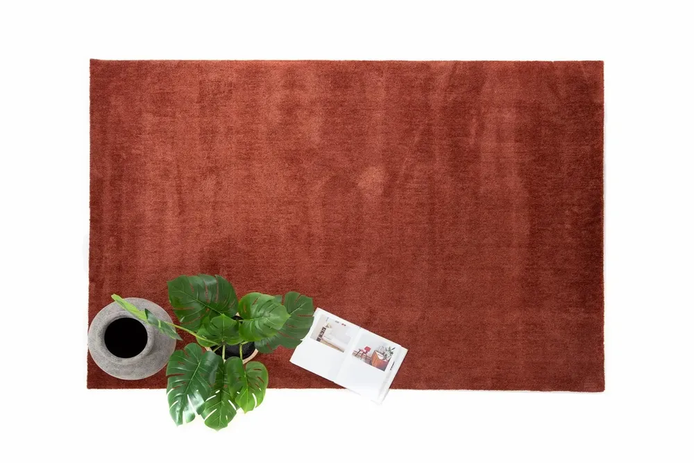 Tapis contemporains - Lilly - ROYAL CARPET