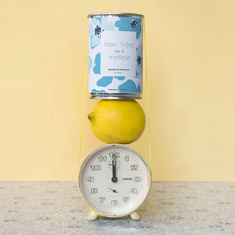 Cadeaux - Kit à semer "Mon frère t'es le meilleur" - MAUVAISES GRAINES