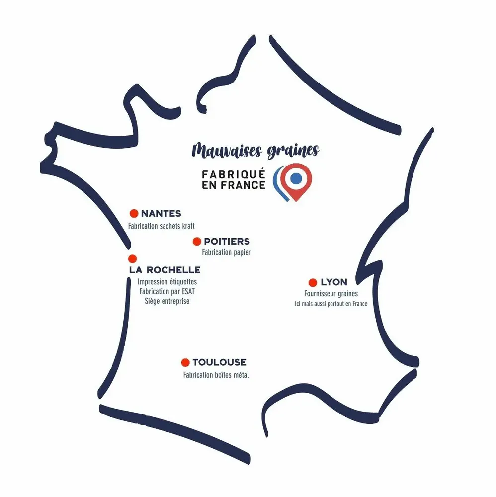 Cadeaux - Kit à semer \" Parrain t'es le plus sympa \ " - MAUVAISES GRAINES