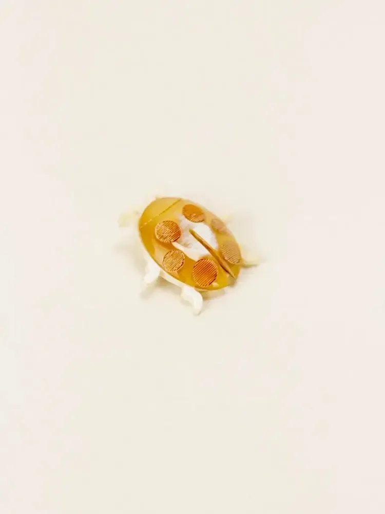 Brooches - Cocinelle brooch in blond horn - L INDOCHINEUR X RIVÊT