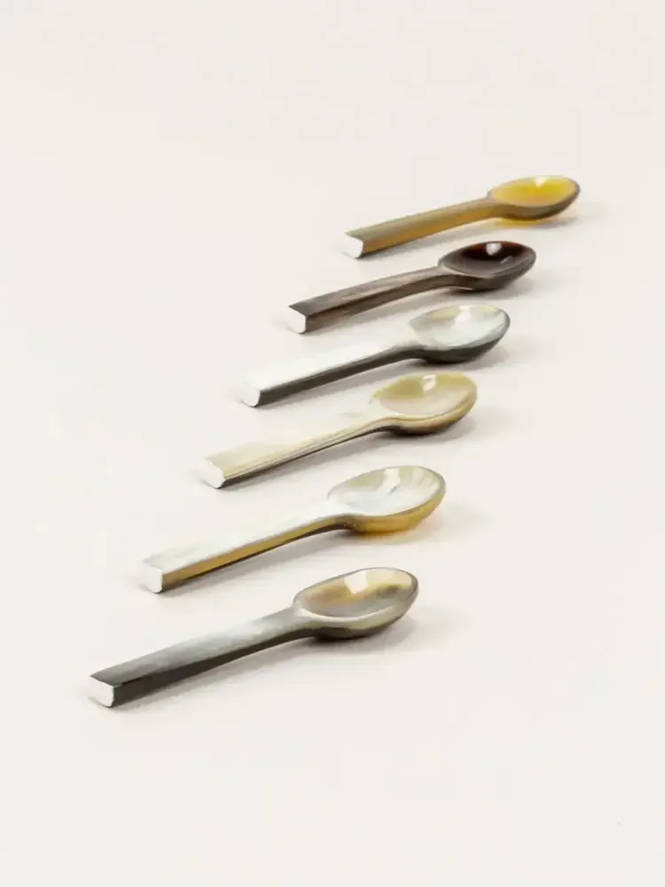 Kitchen utensils - Set of 6 Baguette salt spoons in black and white horn - L INDOCHINEUR X RIVÊT