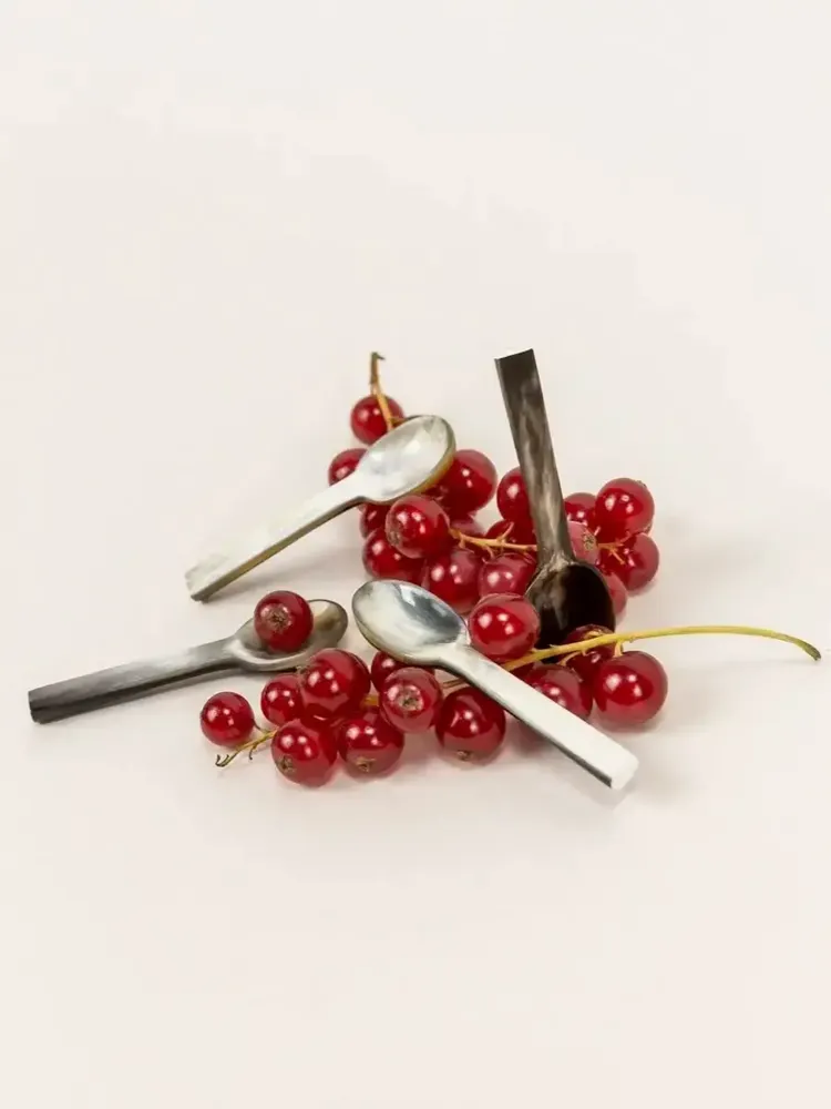 Kitchen utensils - Set of 6 Baguette salt spoons in black and white horn - L INDOCHINEUR X RIVÊT