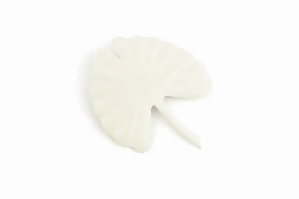 Broches - Grande broche ginkgo en corne blonde - L INDOCHINEUR X RIVÊT