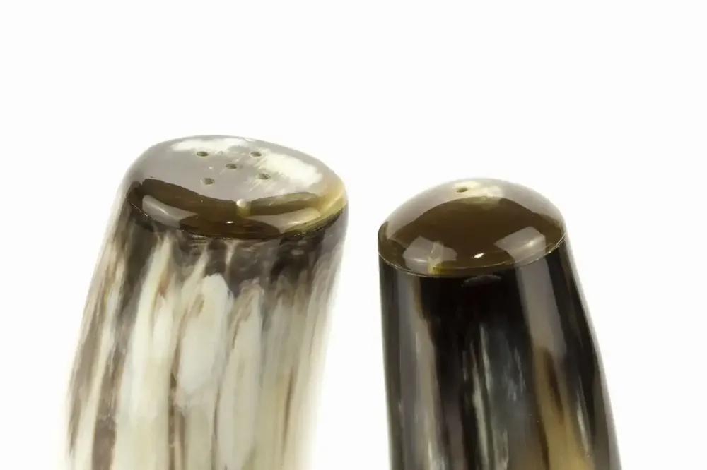 Moulins à épices - Salière et poivrière en corne blonde - L INDOCHINEUR X RIVÊT