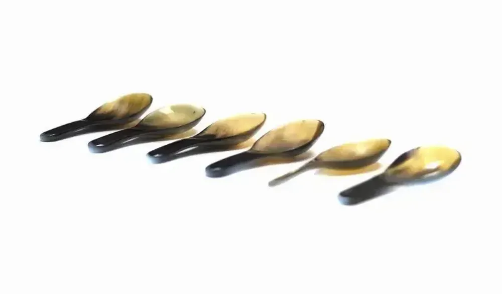 Kitchen utensils - Set of 6 oval rice spoons in blond horn - L INDOCHINEUR X RIVÊT
