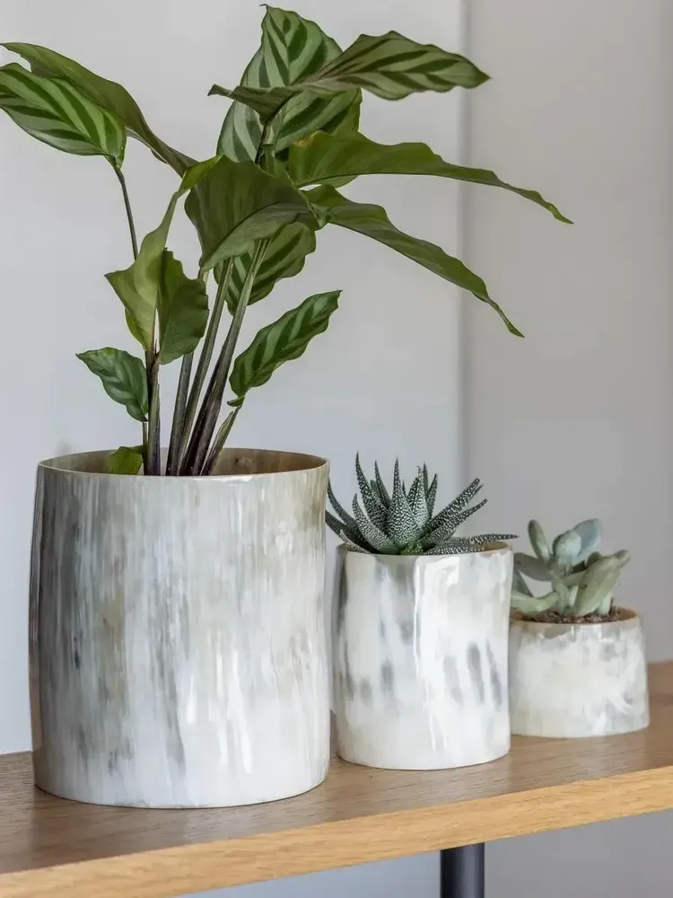 Candlesticks and candle holders - Very large candle holder / plants pot in black and white horn - L INDOCHINEUR X RIVÊT