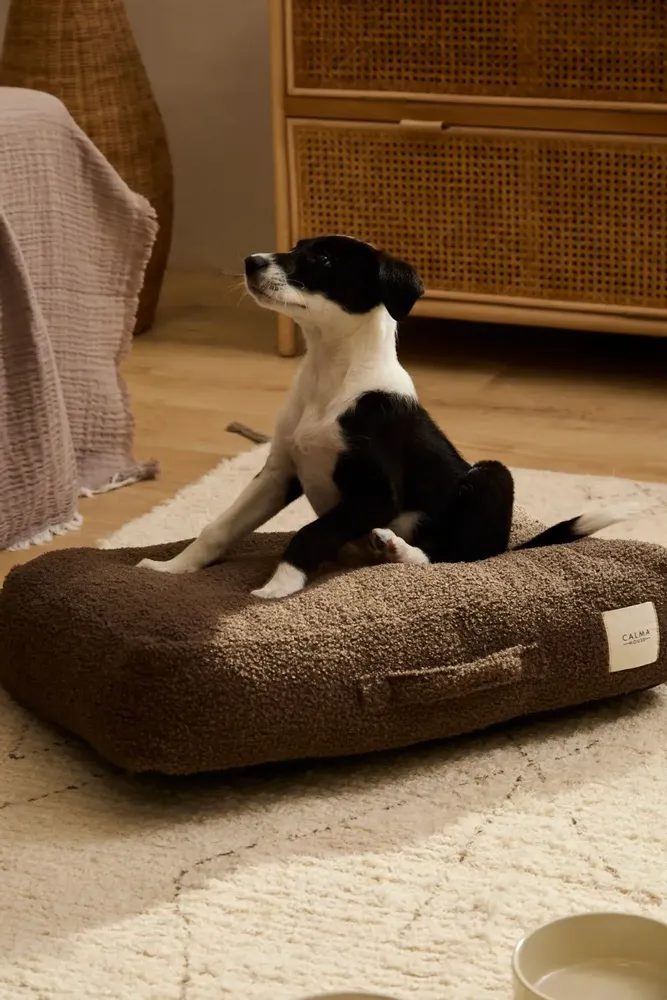 Accessoires animaux - ACCESSOIRES POUR ANIMAUX DE COMPAGNIE - CALMA HOUSE