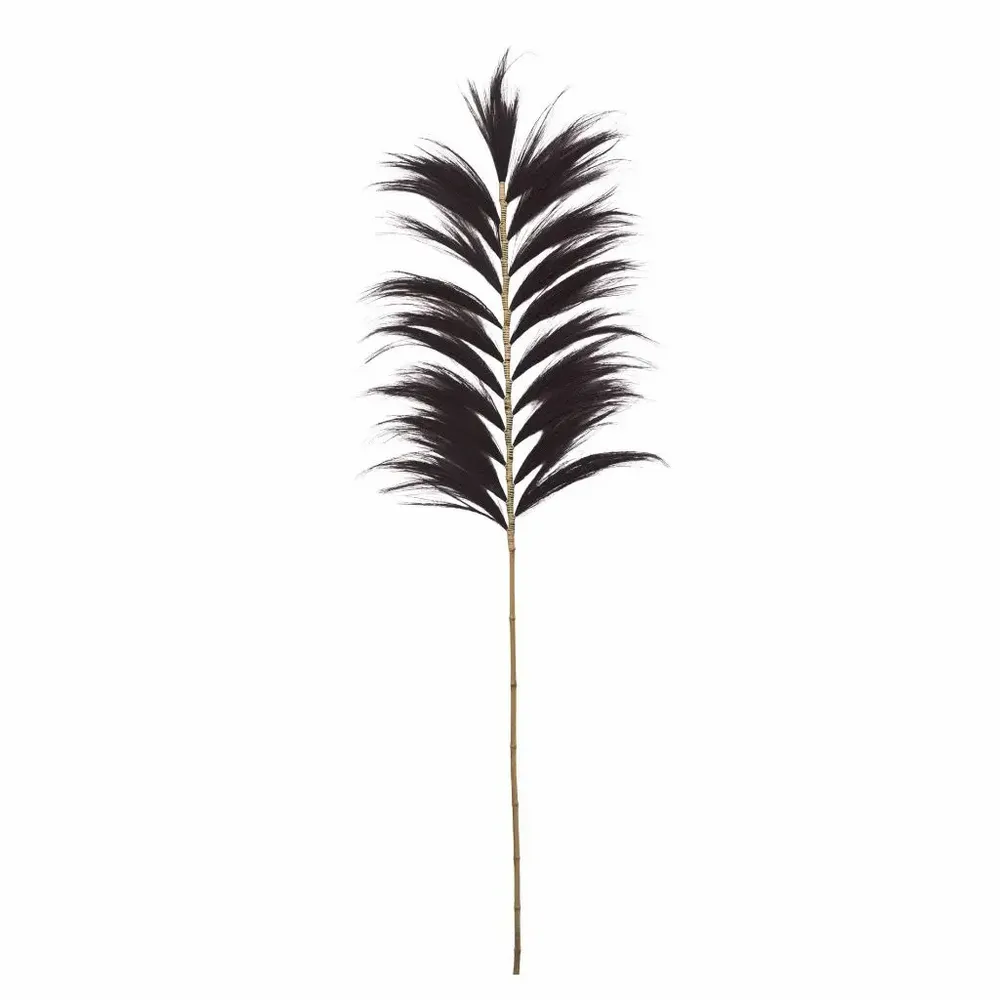 Objets de décoration - RAYUNG - Feuille naturelle noire - Décoration XXL - HYDILE