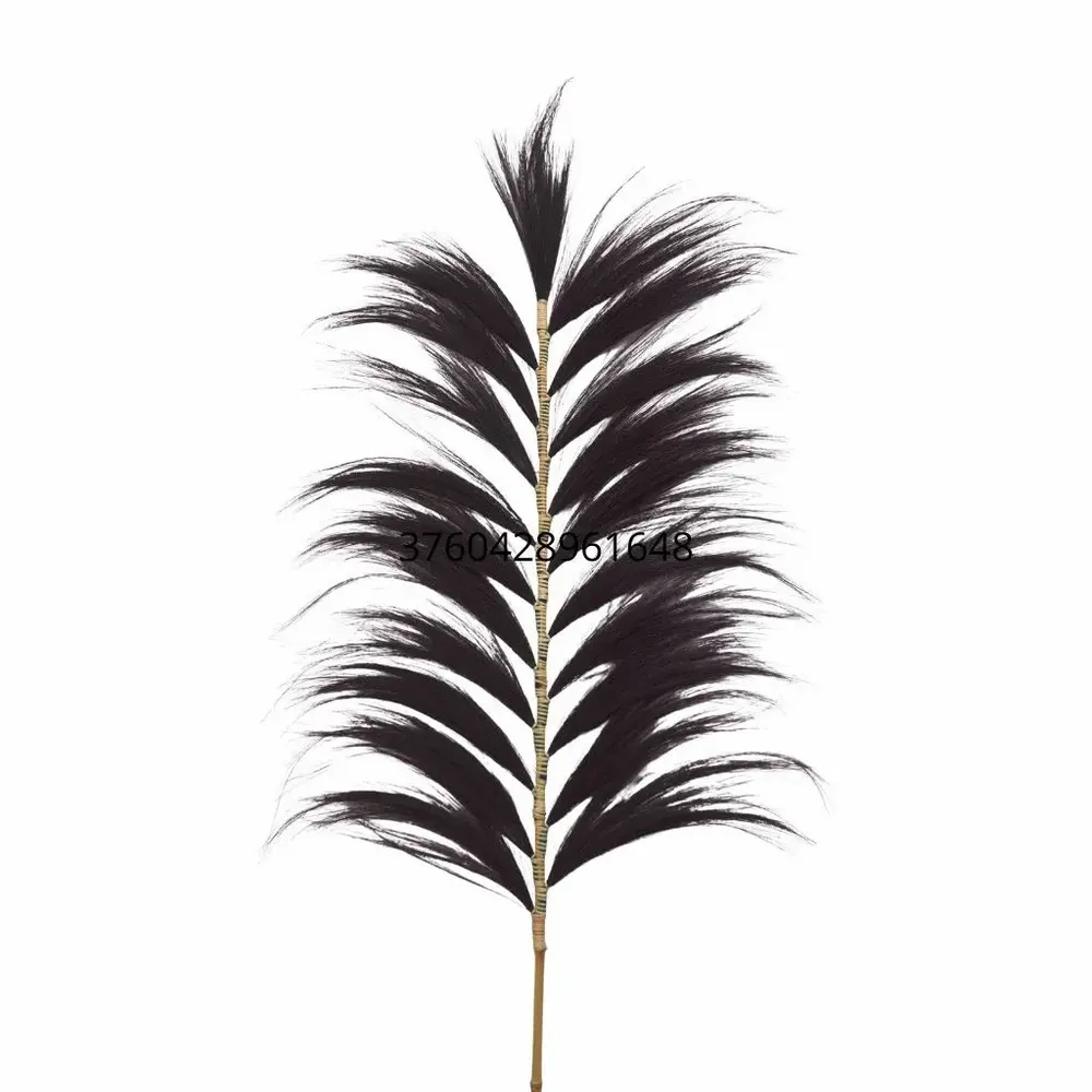 Objets de décoration - RAYUNG - Feuille naturelle noire - Décoration XXL - HYDILE