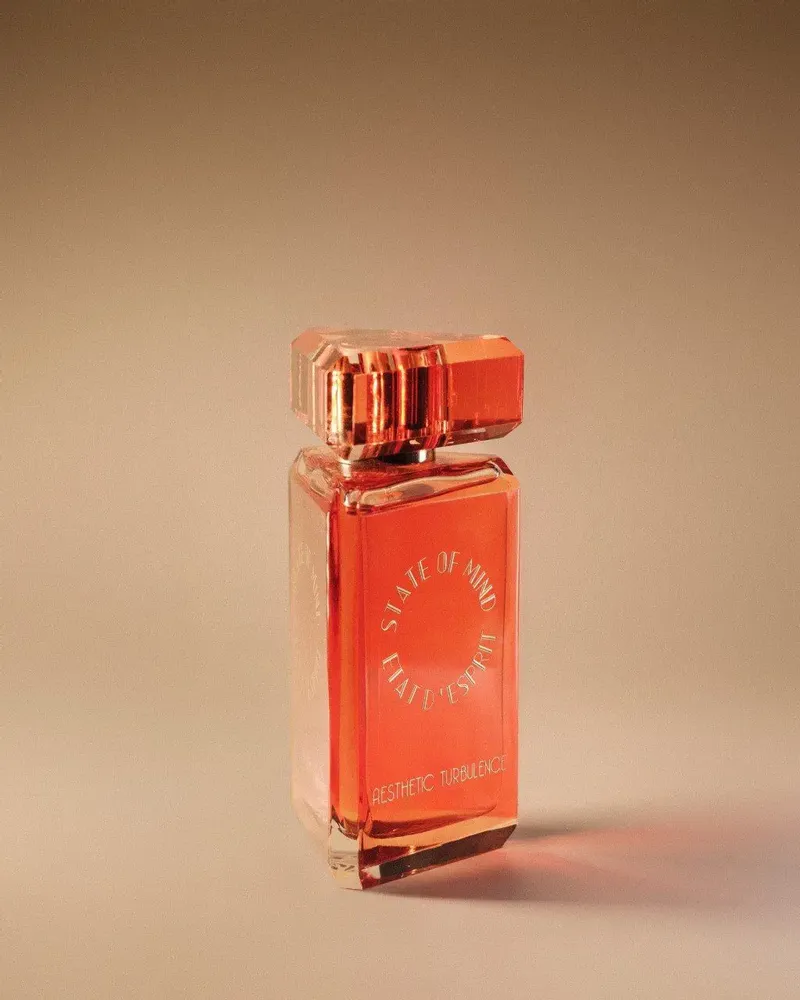 Fragrance for women & men - Perfume 100 ML Aesthetic Turbulence - STATE OF MIND
