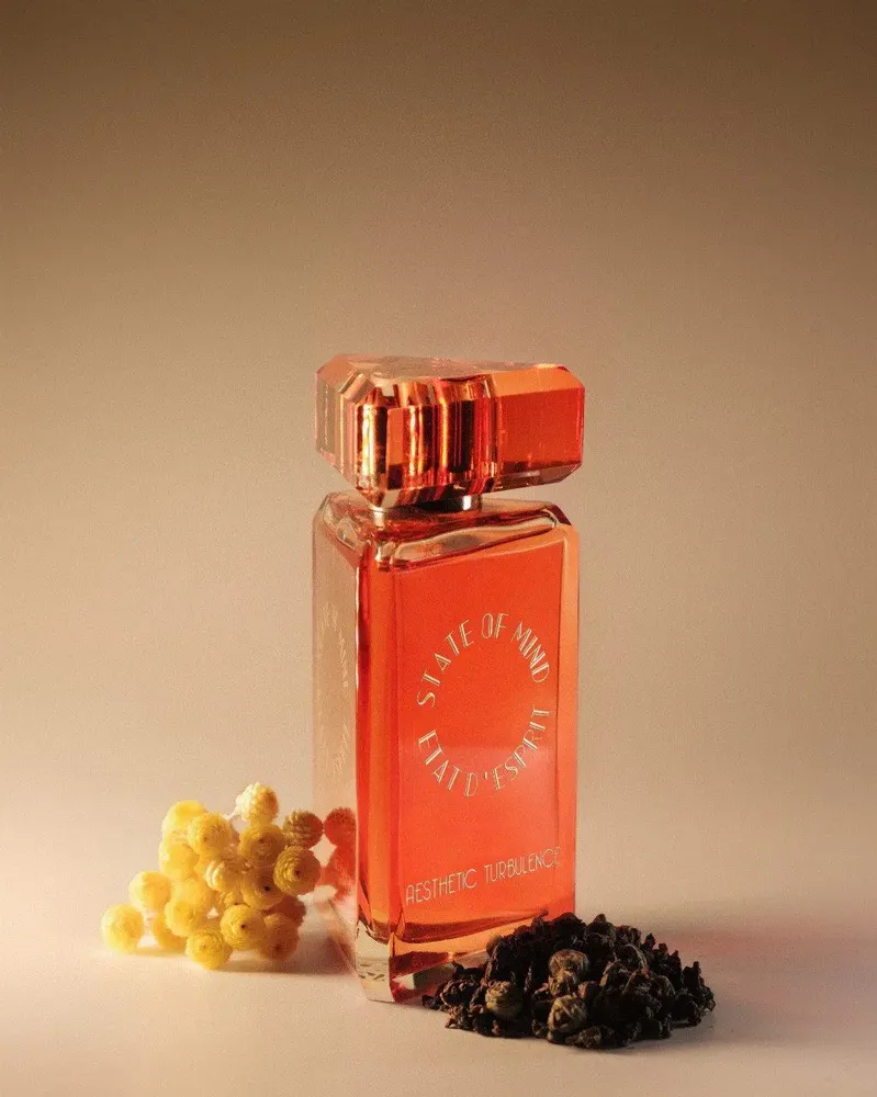 Fragrance for women & men - Perfume 100 ML Aesthetic Turbulence - STATE OF MIND