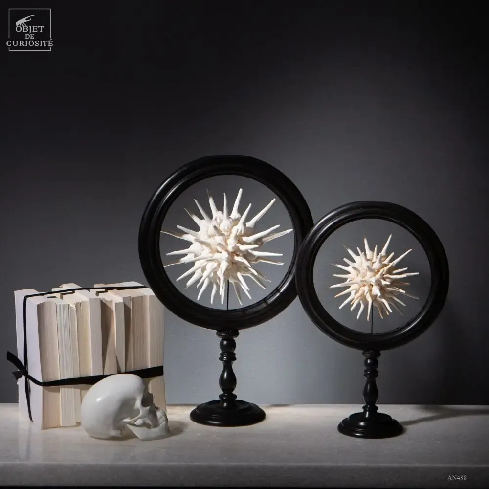 Decorative objects - Rainbow crystal box - OBJET DE CURIOSITÉ