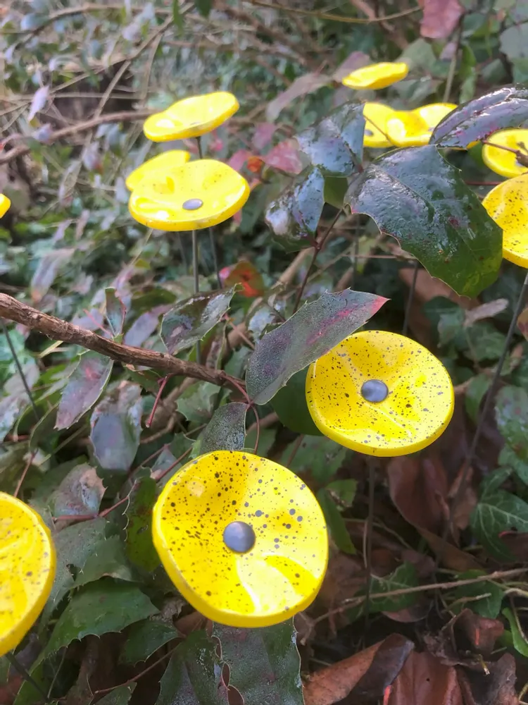 Floral decoration - Round small glass flower for outdoor use in yellow-black colour with 43 cm stainless steel stem - CARNEOL GLASS