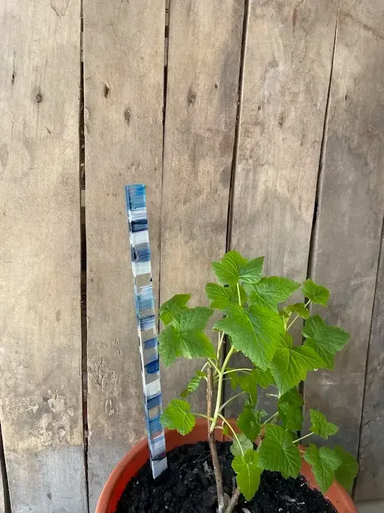 Floral decoration - White-Blue glass stake for pots 40 cm - CARNEOL GLASS