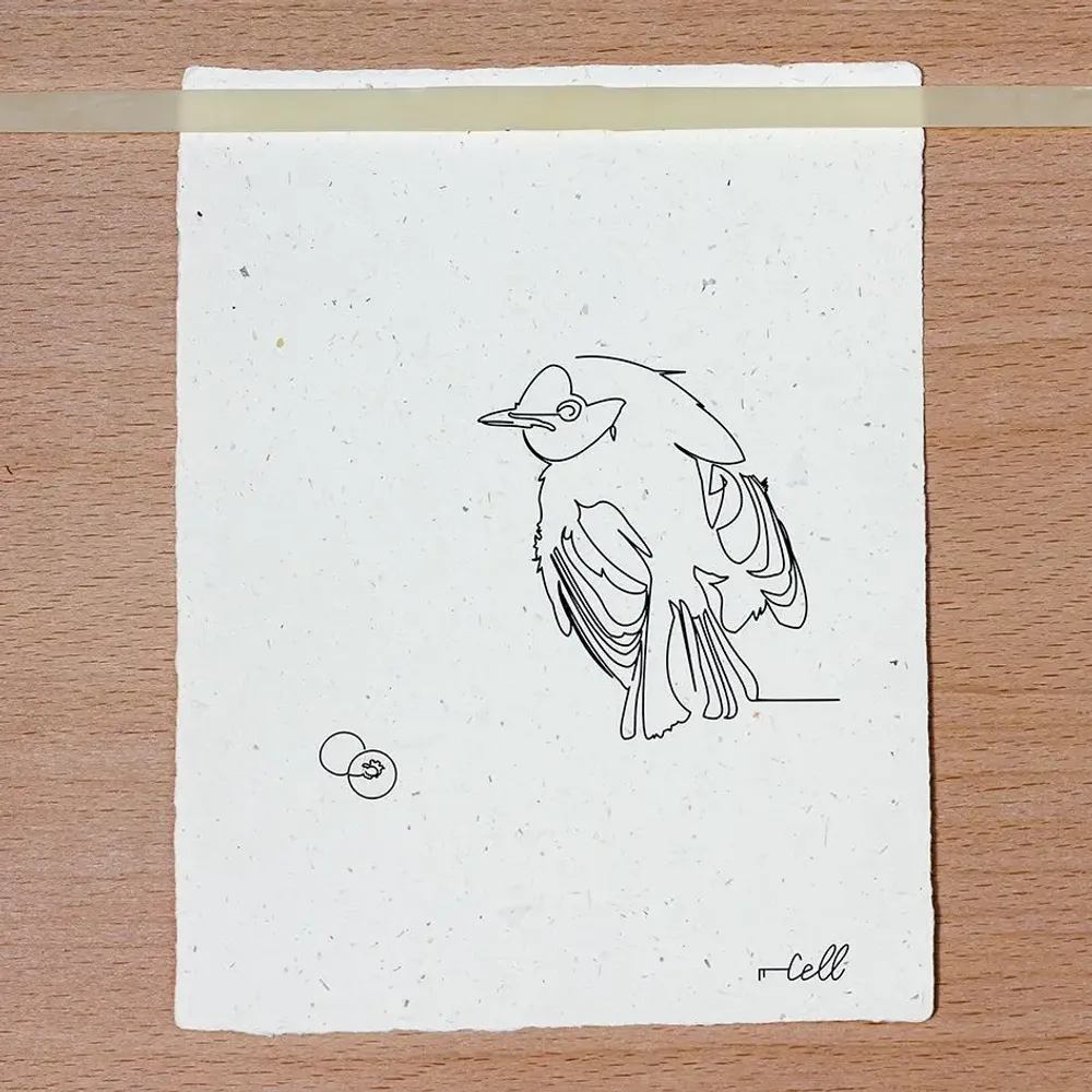 Gifts - Note card - Minimalist illustration - COSETTE ET LES LYS