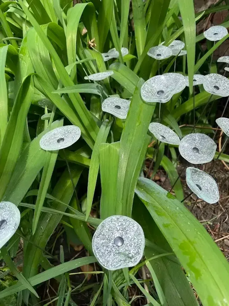 Décorations florales - Petite fleur ronde pour l'extérieur, transparente, blanche - CARNEOL GLASS