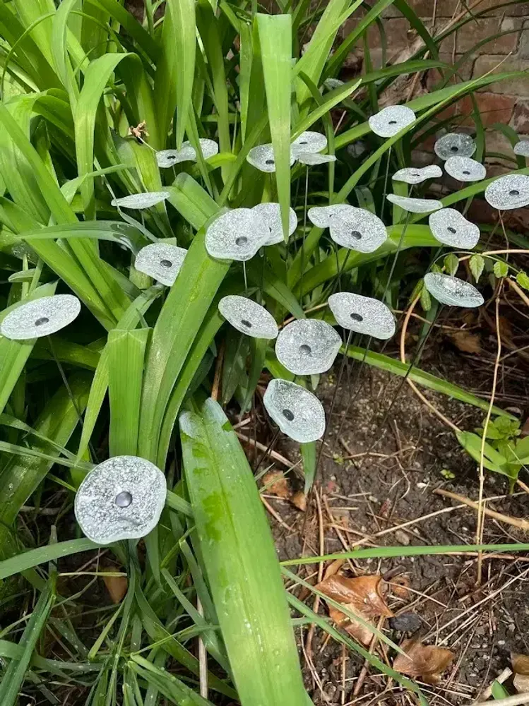 Décorations florales - Petite fleur ronde pour l'extérieur, transparente, blanche - CARNEOL GLASS